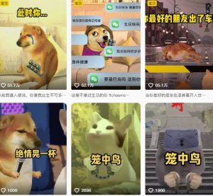 狗头幸运星UE5动画全套课程,从入门到实操全掌握| 鹿鸣网创