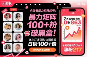 小红书暴力矩阵起号，教你打通引流-变现速通，日锁100+粉，破流量黑盒| 鹿鸣网创
