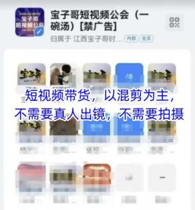 宝子哥头部团队短视频带货,以混剪为主,不需要真人出镜,不需要拍摄【更新9月】| 鹿鸣网创