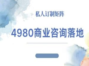 4980商业咨询师落地课程-ip运营高客单教程| 鹿鸣网创