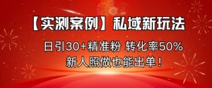 【实测案例】私域新玩法，日引30+精准粉，转化率50%，新人照做也能出单！| 鹿鸣网创