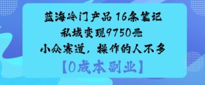 蓝海冷门产品：16条笔记私域变现9750米小众赛道，操作的人不多| 鹿鸣网创
