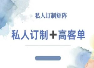 小红书自媒体咨询师IP教程，私人定制+高客单| 鹿鸣网创