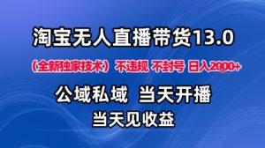 淘宝无人直播13.0,公域私域技术,不封号,不违规布局下半年旺季赛道,日入1K+(独家技术)【揭秘】| 鹿鸣网创