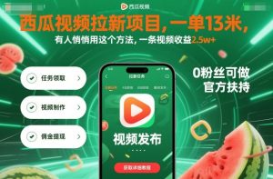 西瓜视频拉新项目,一单13米,有人悄悄用这个方法,一条视频收益2.5w+(附详细教程)| 鹿鸣网创