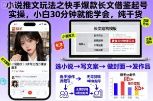 小说推文玩法之快手爆款长文借鉴起号实操,小白30分钟就能学会,纯干货| 鹿鸣网创