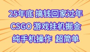 25年底搞钱回家过年，CSGO游戏挂G掘金，纯手机操作超简单【揭秘】| 鹿鸣网创