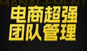 电商超强团队管理,组织绩效,到用人执行,分权合伙| 鹿鸣网创