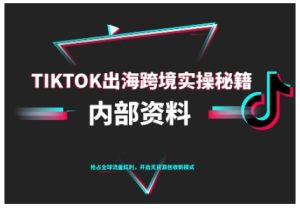 TikTok跨境电商0-1搭建运营,TK出海跨境实操秘籍(10月更新)| 鹿鸣网创