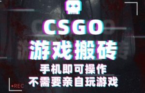 CSGO游戏挂G捡漏，单日扫货5张+，年底小高峰上车可吃肉，手机即可操作，兼职副业创业网创【揭秘】| 鹿鸣网创