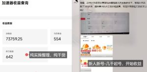 游戏加速器项目4.0_最新打法思路(爱玩游戏也能边玩边被动收益)| 鹿鸣网创