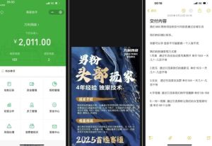 外面收费980全新男粉变现项目,竞争小,利润高,多种方式变现,独家技术| 鹿鸣网创