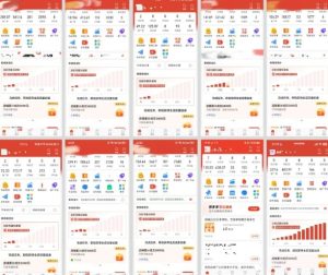 拼多多虚拟电商，门槛低，搬运上架，操作起来简单粗暴，单人单店三位数，可矩阵| 鹿鸣网创