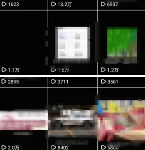 抖音引流创业粉教程，创业粉终于跑通了，私域是永远的王| 鹿鸣网创