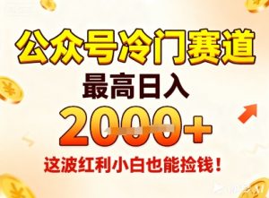 公众号冷门赛道，最高日入1k+，这波红利小白也能捡钱！| 鹿鸣网创