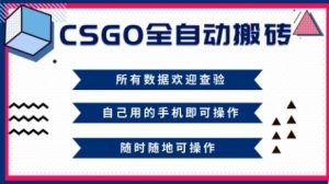 CSGO全自动搬砖，年底钱回家好项目，当天可拿到结果，新手小白轻松月入1W+【揭秘】| 鹿鸣网创
