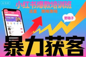 小红书爆款培训班，小红书获客野路子流量打法，暴力持续获客| 鹿鸣网创