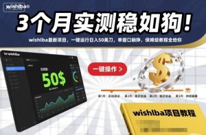 3个月实测稳如狗!wishlba最新项目,一键运行日入50美刀,单窗口躺挣,保姆级教程全给你【揭秘】| 鹿鸣网创