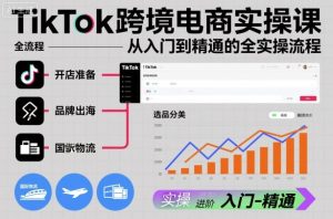 TikTok跨境电商实操课,从入门到精通的全实操流程| 鹿鸣网创