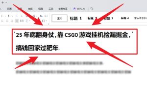 25年底翻身仗,靠CSGO游戏挂G捡漏掘金,搞钱回家过肥年【揭秘】| 鹿鸣网创