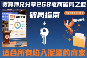 贾真师兄分享268电商破局之道-适合所有陷入泥潭的商家| 鹿鸣网创