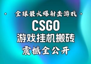 【年底大揭秘】基于全球最火爆的射击CSGO游戏挂G搬砖,日入5张+,震撼公开| 鹿鸣网创