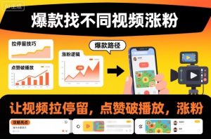 爆款找不同视频涨粉，让视频拉停留，实现点赞，破播放，涨粉| 鹿鸣网创