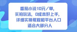 番茄小说10米每单,实拍玩法,0成本好上手,详细实操教程和平台入口适合大部分人| 鹿鸣网创