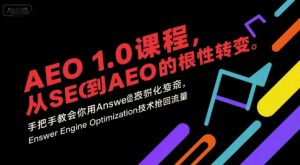 AEO 1.0 课程,从SEO到AE0的基命性转变,手把手教会你用AnswerEngineOptimization技术抢回流量(更新)| 鹿鸣网创