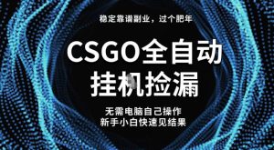 【稳定副业】全球最热门游戏CSGO全自动捡漏，最新玩法，新手小白日入5张+【揭秘】| 鹿鸣网创