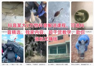抖音某大V万物科普解说课程，可进抖音精选，独家内容，超干货教学，助你涨粉又賺钱| 鹿鸣网创