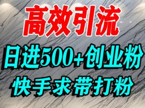 怎么打创业粉?快手求带视角精准引流创业粉,宝妈、学生群体日进500+精准流量| 鹿鸣网创