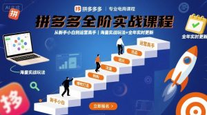 拼多多全阶实战课程,从新手小白到运营高手,海量实战玩法+全年实时更新【2025年10月更新】| 鹿鸣网创