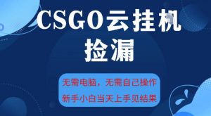 CSGO云挂G全自动捡漏，最新独家玩法，无需电脑操作，新手小白日入5张+【揭秘】| 鹿鸣网创