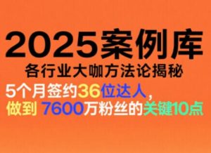 2025案例库，收录各行业大咖的方法论，各行业大咖方法论揭秘| 鹿鸣网创