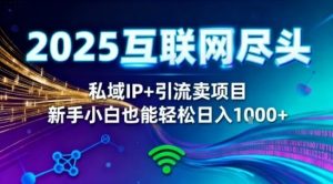 2025网创尽头王炸项目！私域IP+精准引流，新手小白在家躺賺日入1k，零经验也能上手【揭秘】| 鹿鸣网创