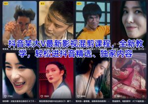 抖音某大V最新影视混剪课程，全新教学，轻松进抖音精选、独家内容| 鹿鸣网创