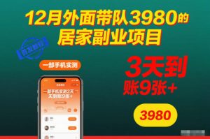 12月外面带队3980的居家副业项目,一部手机实测3天到账9张+,首发教程【揭秘】| 鹿鸣网创