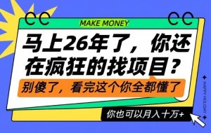 26年了，不要再疯狂的找项目了，看完这个你也可以月入十个W【揭秘】| 鹿鸣网创
