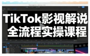 TikTok影视解说全流程实操，手把手教你打造TK爆款解说视频| 鹿鸣网创