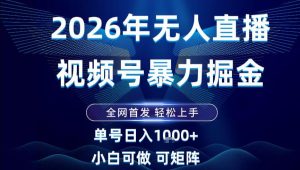 2026最新视频号无人直播掘金，全网首发，小白可以玩，长期稳定日入1k+【揭秘】| 鹿鸣网创