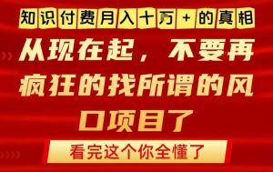 知识付费月入10个W的真相，做网创项目这一个就够了，不要再疯狂的找所谓的风口项目【揭秘】| 鹿鸣网创