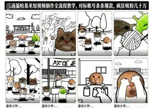 卤蛋哈基米短视频制作全流程教学，条条爆款，疯狂吸粉几十万| 鹿鸣网创