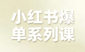 小红书爆单系列课，聚焦小红书电商全链路增长（更新）| 鹿鸣网创