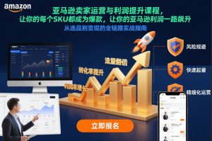 亚马逊卖家运营与利润提升课程,让你的每个SKU都成为爆款,让你的亚马逊利润一路飙升(更新12月)| 鹿鸣网创