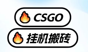 真全网独家CSGO挂G，最新玩法,单日捡漏1K+，不用电脑，不用打游戏【揭秘】| 鹿鸣网创