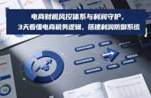 电商财税风控体系与利润守护，3天看懂电商税务逻辑，搭建利润防御系统| 鹿鸣网创