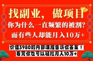 价值3980的网创内部课程，告诉你互联网创业月入10个W的秘密【揭秘】| 鹿鸣网创