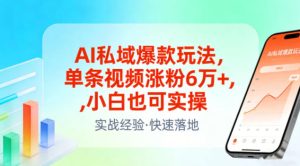 AI私域爆款玩法，单条视频涨粉6W+，小白也可实操| 鹿鸣网创