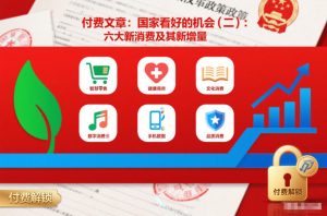 付费文章:国家看好的机会(二):六大新消费及其新增量| 鹿鸣网创